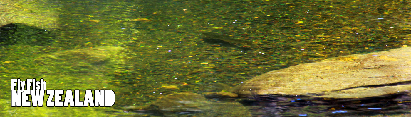 WELCOME TO NEW ZEALAND FLY FISHING