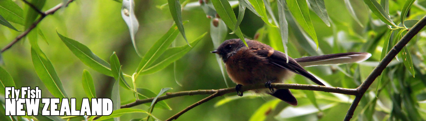 WELCOME TO NEW ZEALAND FLY FISHING