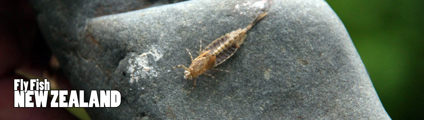 WELCOME TO NEW ZEALAND FLY FISHING