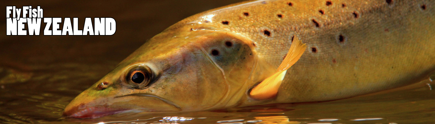WELCOME TO NEW ZEALAND FLY FISHING