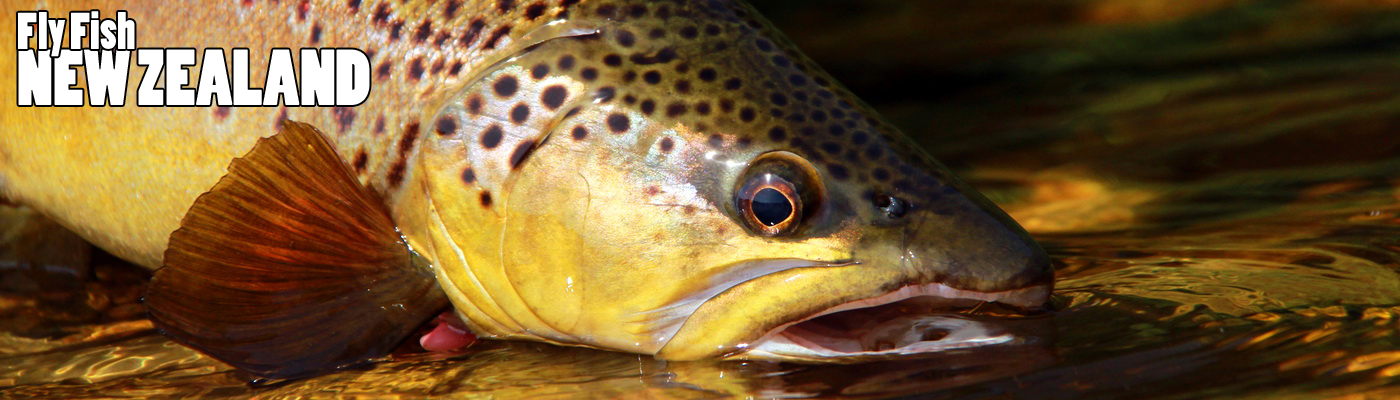 WELCOME TO NEW ZEALAND FLY FISHING