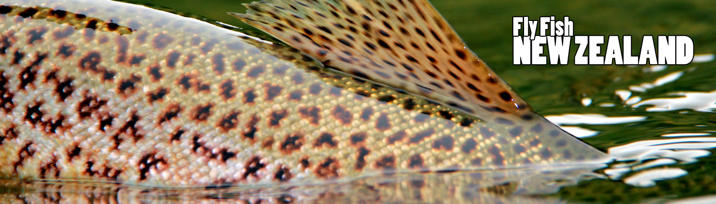 WELCOME TO NEW ZEALAND FLY FISHING