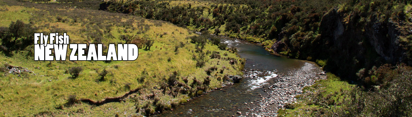 WELCOME TO NEW ZEALAND FLY FISHING