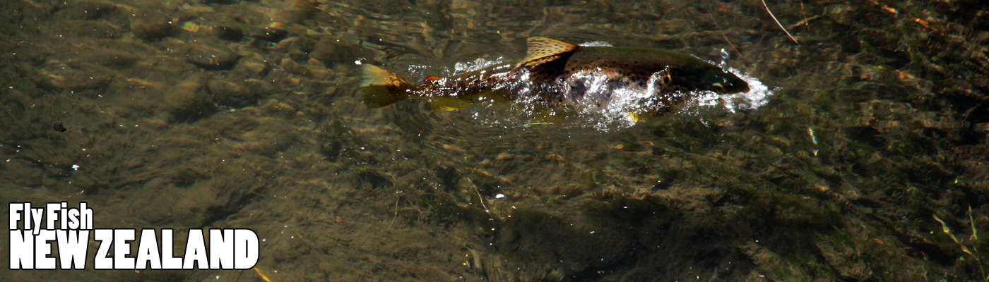 WELCOME TO NEW ZEALAND FLY FISHING