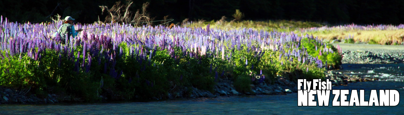 WELCOME TO NEW ZEALAND FLY FISHING