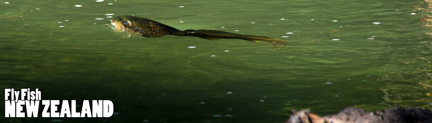 WELCOME TO NEW ZEALAND FLY FISHING