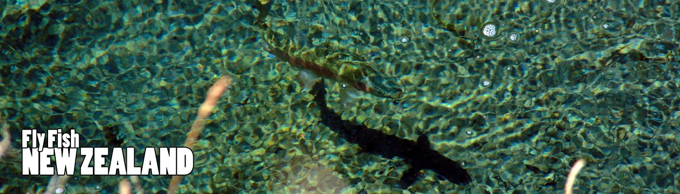 WELCOME TO NEW ZEALAND FLY FISHING