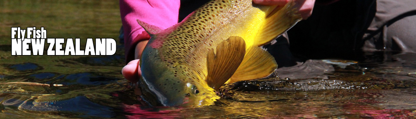WELCOME TO NEW ZEALAND FLY FISHING