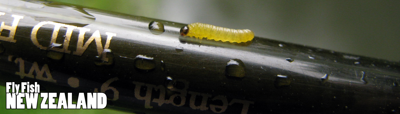 WELCOME TO NEW ZEALAND FLY FISHING
