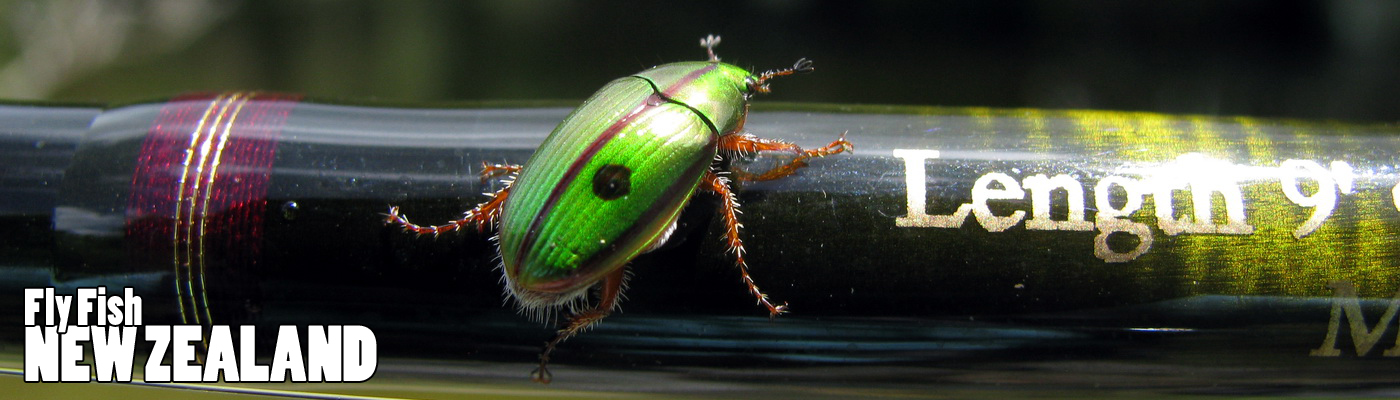WELCOME TO NEW ZEALAND FLY FISHING